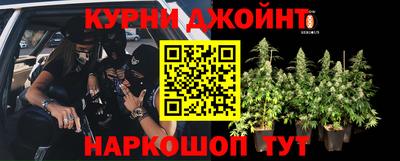трава Партизанск