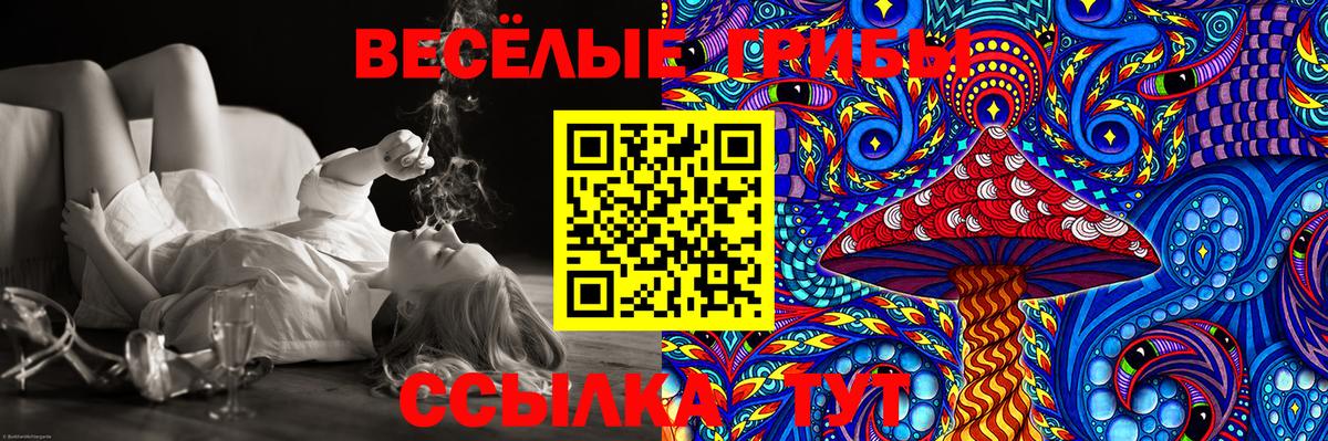 Псилоцибиновые грибы GOLDEN TEACHER Советская Гавань